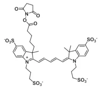 供应科研试剂AF647 NHS ester｜1620475-28-6｜AF647-活性酯