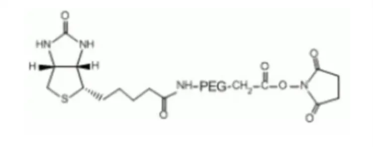 Biotin-PEG-NHS ester MW:20000生物素化试剂