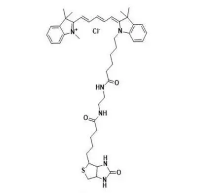 近红外荧光染料Cy5生物素｜Cy5 biotin conjugate｜Cyanine5 Biotin