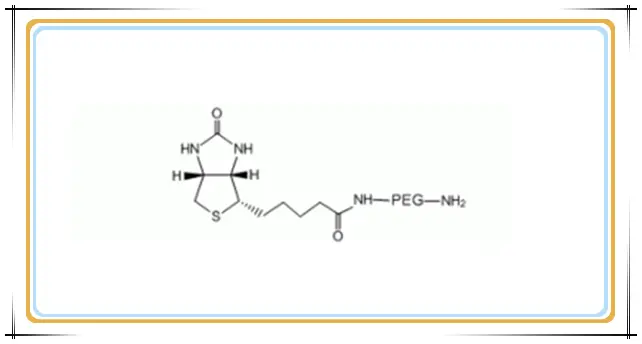 Biotin-PEG-NH2,Biotin-PEG-amine,生物素-PEG-氨基用于材料改性