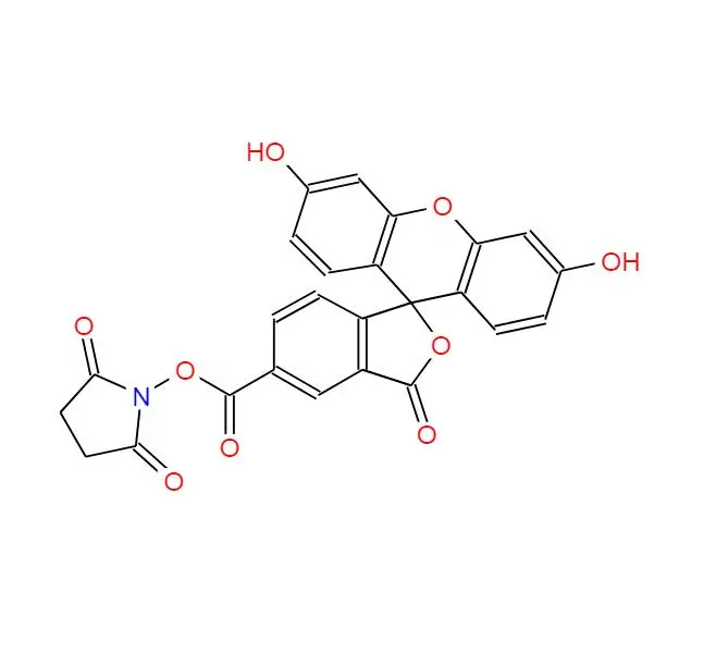 染料|92557-80-7|5-羧基荧光素琥珀酰亚胺酯|5(6)-FAM