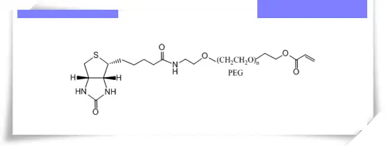 聚乙二醇试剂Biotin-PEG-AC，Biotin-PEG-Acrylate