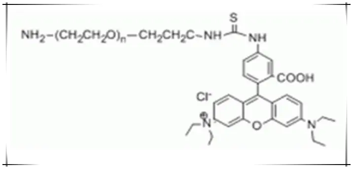 供应荧光类PEG试剂罗丹明-PEG-氨基,RB-PEG-NH2,Rhodamine B-PEG-amine