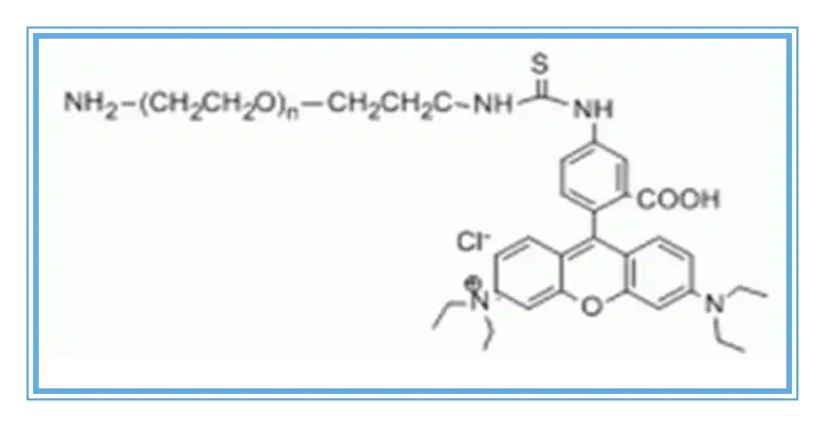 Rhodamine B-PEG-amine，RB-PEG-NH2，罗丹明-聚乙二醇-氨基可修饰多肽