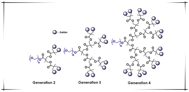 mPEG-Dendro NH2，mPEG-Dendro Amine，甲氧基-聚乙二醇树状-胺bisMPA树状大分子