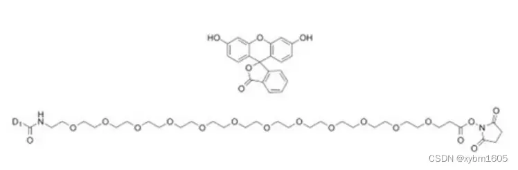 2246595-66-2|5-FAM-PEG12-NHS ester|5-羧基荧光素-十二聚乙二醇-琥珀酰亚胺酯|