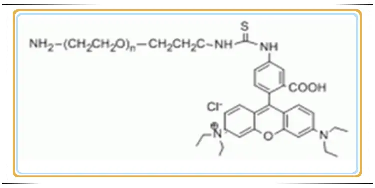 供应荧光类PEG试剂RB-PEG-NH2,Rhodamine B-PEG-amine