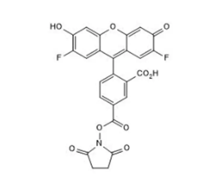 OG-488 SE｜198139-51-4｜Oregon Green 488 Succinimidyl Ester