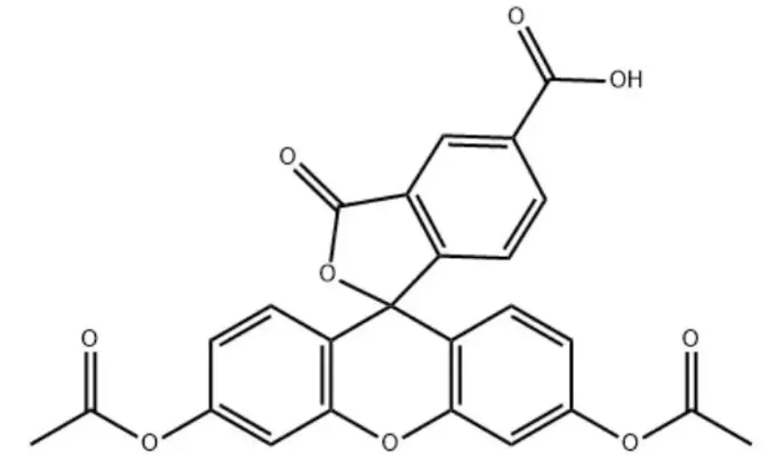 5-CFDA，79955-27-4，5-羧基荧光素二乙酸酯