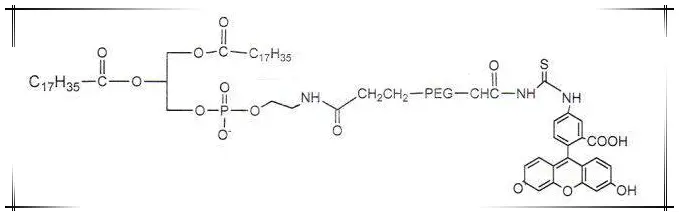 DSPE-PEG-FITC Fluorescein-PEG-DSPE 磷脂-聚乙二醇-荧光素可提高溶解度