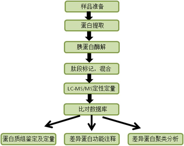 图片上传