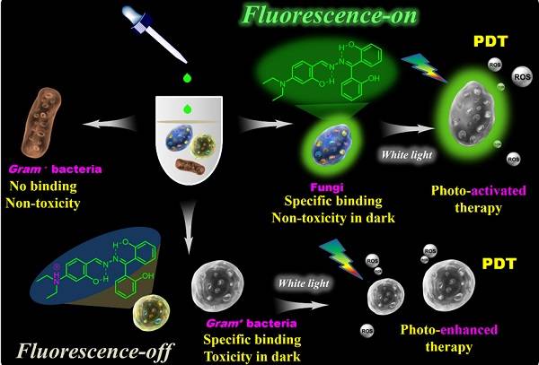 以病原微生物诊疗一体化为导向的AIEgens设计及应用研究