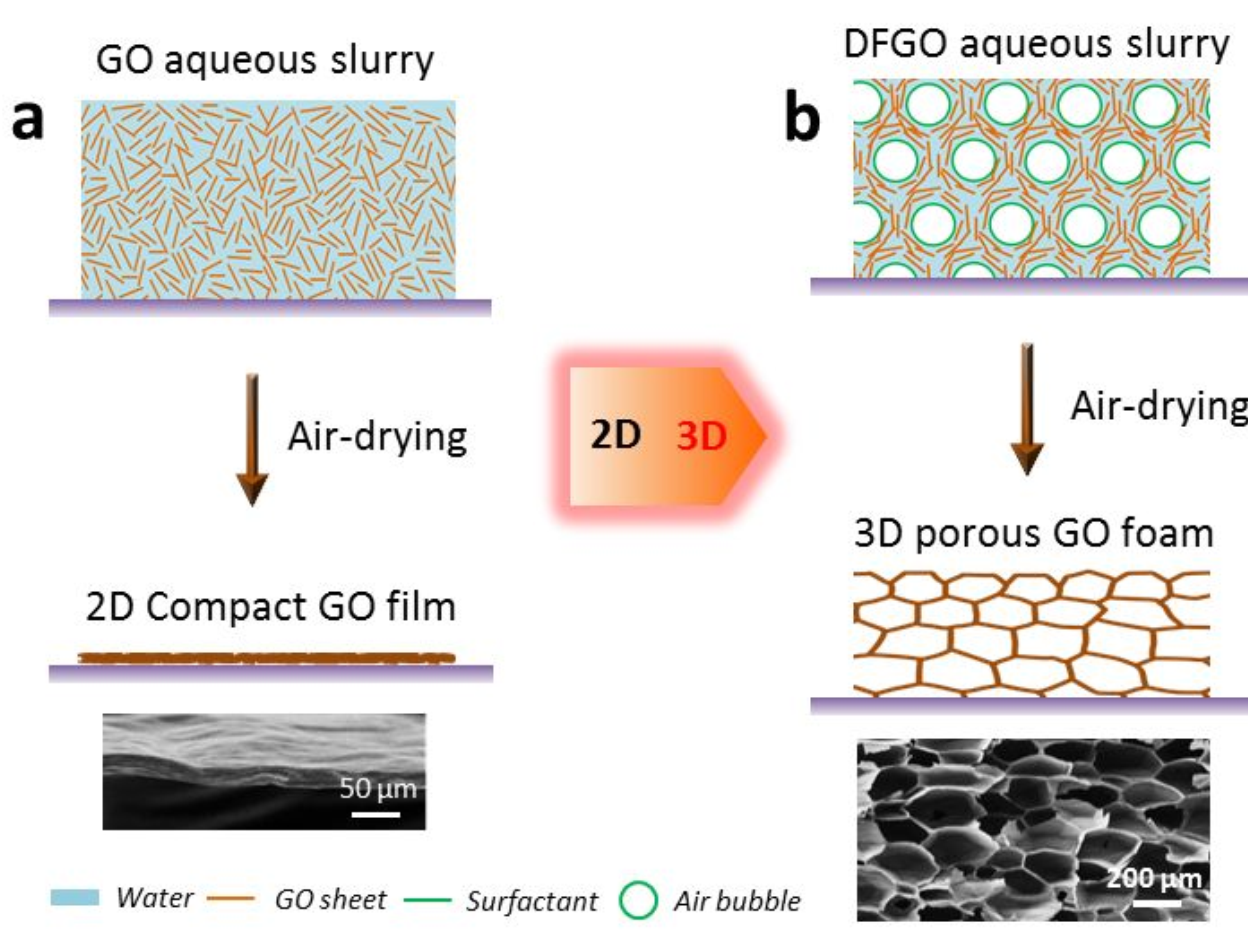 石墨烯气凝胶（GAs）延缓Ostwald熟化直接制备3D氧化石墨烯