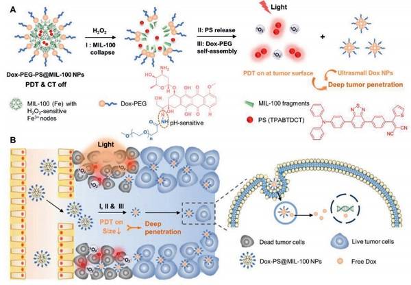 Dox-PEG-PS@MIL纳米颗粒具有肿瘤激活的光敏作用和尺寸转变特性的纳米药物