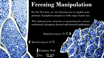 石墨烯气凝胶的微观结构和性能可利用冻铸造策略精确控制