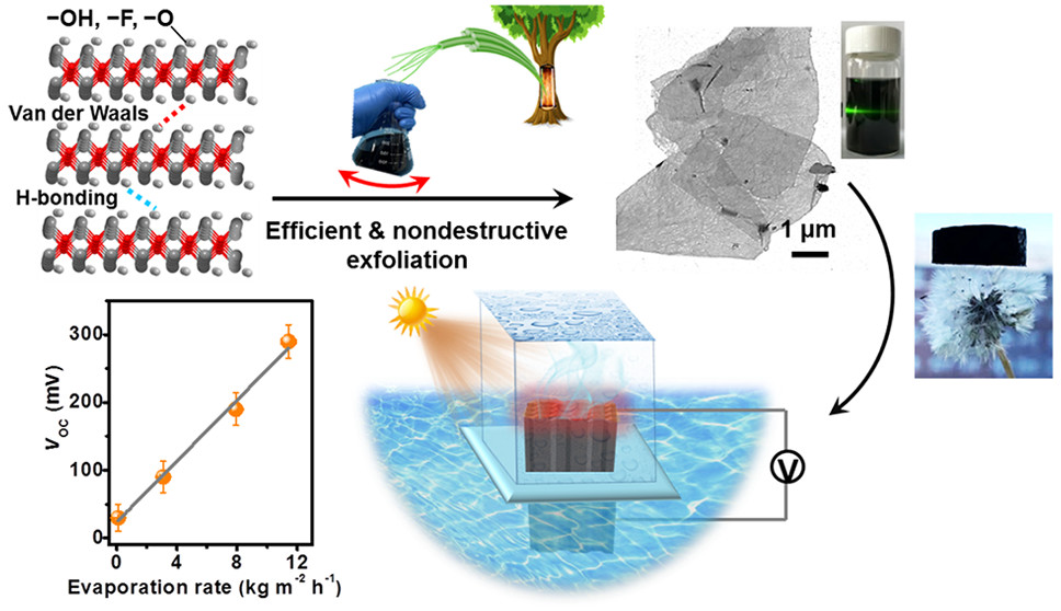 用坚硬的生物原纤维温和剥离和封装大的MXene纳米片以实现同步太阳蒸发与能量收集