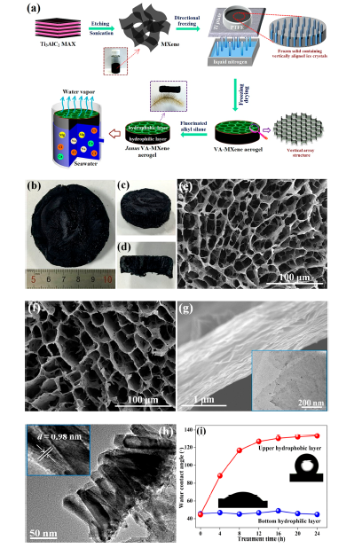 Janus MXene气凝胶-- 高效稳定海水淡化
