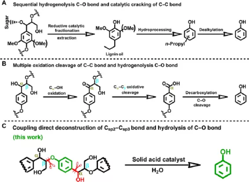 Csp2-Csp3和C-O键直接转化的选择性价态助力木质素转化为苯酚