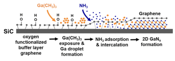 外延石墨烯中二维GaNx形成机理