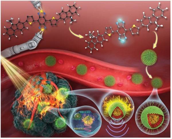 NIR-II生物窗中共轭小分子对超强光热理论的合理设计