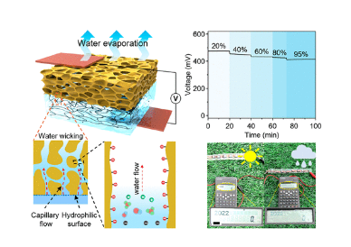 MXene 气凝胶-有机水凝胶双层的耐湿湿气驱动发电机  