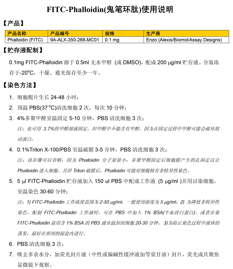 鬼笔环肽(Phalloidin)标记F-actin的方法